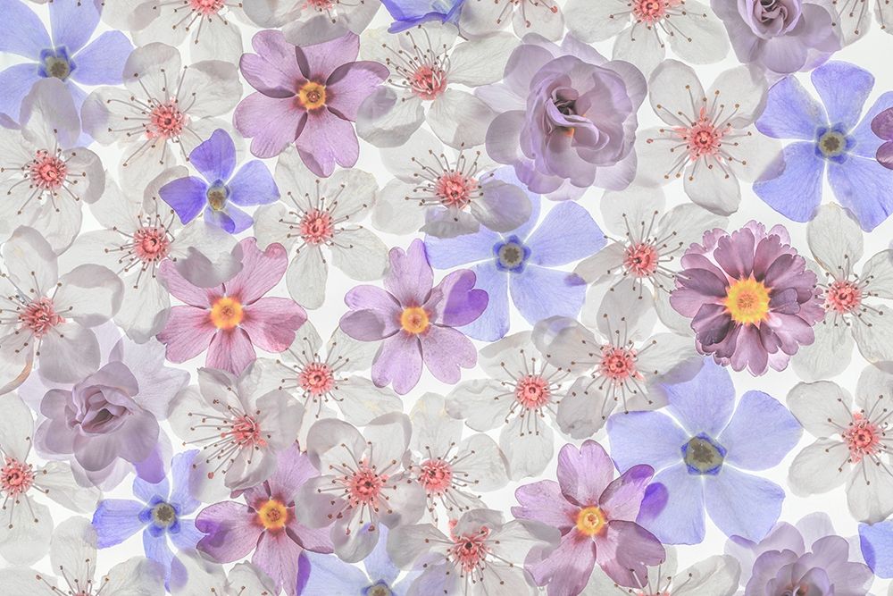 Washington State-Seabeck Montage of spring flowers